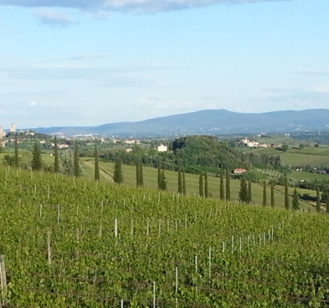cellori4