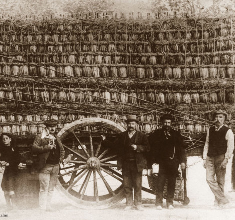 un barroccio carico di fiaschi